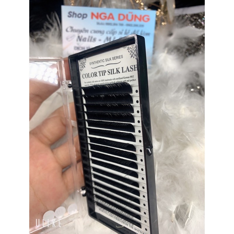 Mi color tip silk lash dày 0,12