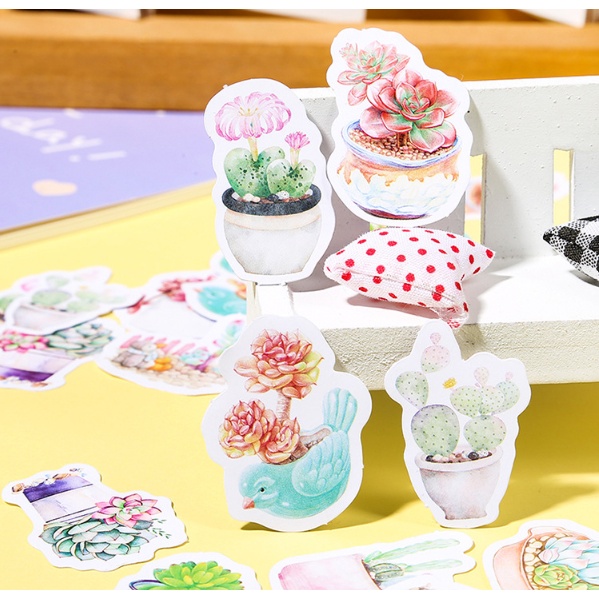 KimiTape Sticker hộp 45 hình dán sen đá trang trí Bullet Journal