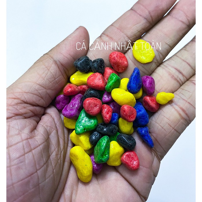 SỎI VIÊN VỪA ĐỦ MÀU TRANG TRÍ BỂ CÁ, CÂY CẢNH 800G
