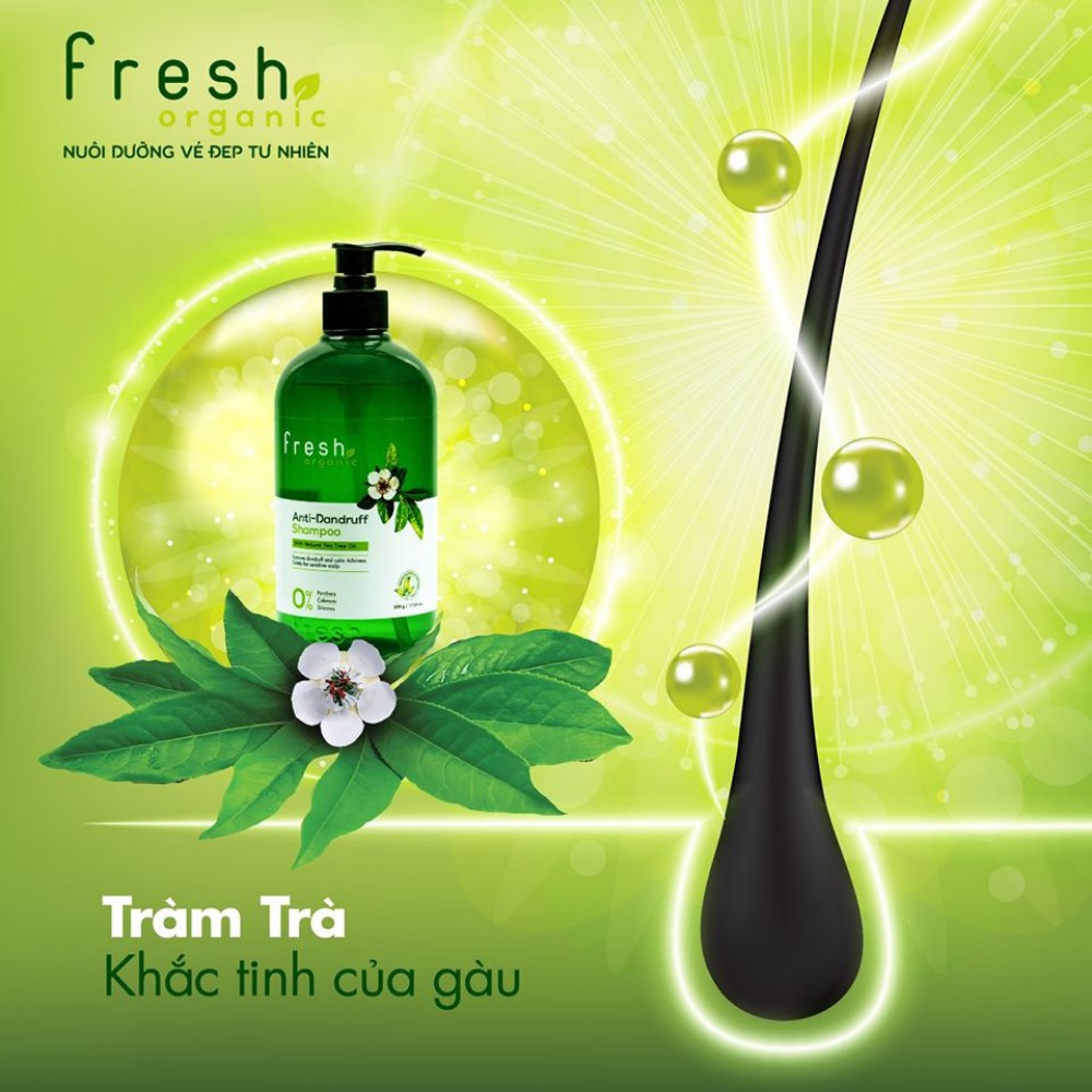 Dầu gội Fresh tràm trà cho tóc gàu 500G