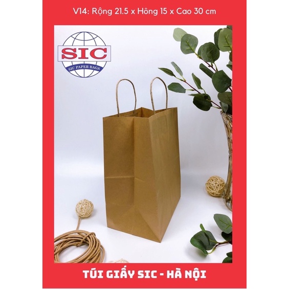 SÉT 100 túi giấy có quai Kt 21x15x30