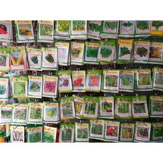 Hạt Giống Cải Bẹ Dún Thái Lan (20g)