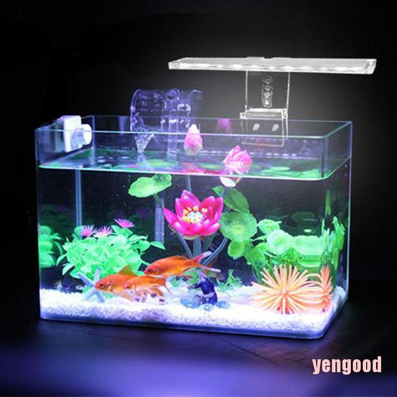 Đèn led trang trí bể cá chất lượng cao