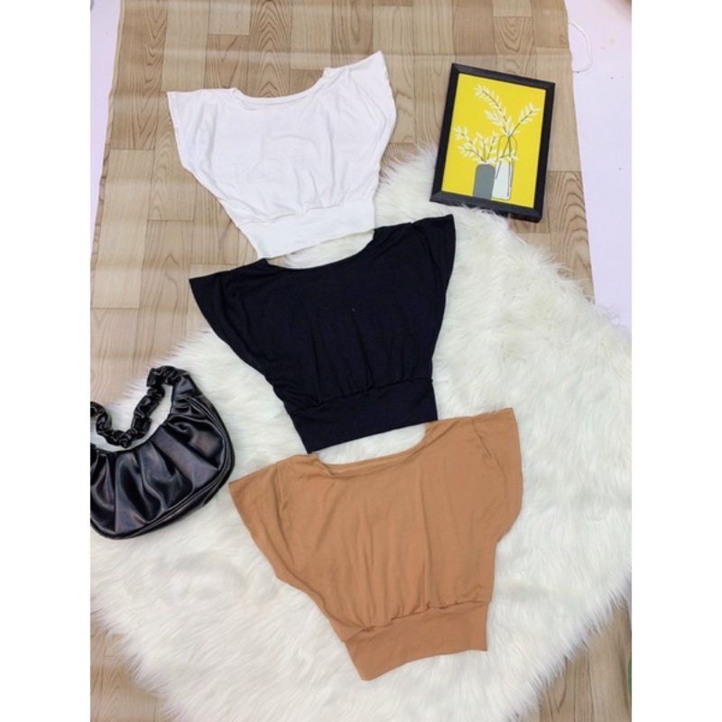 Áo thun cánh dơi bo eo vải dầy xịn xò(B.C)