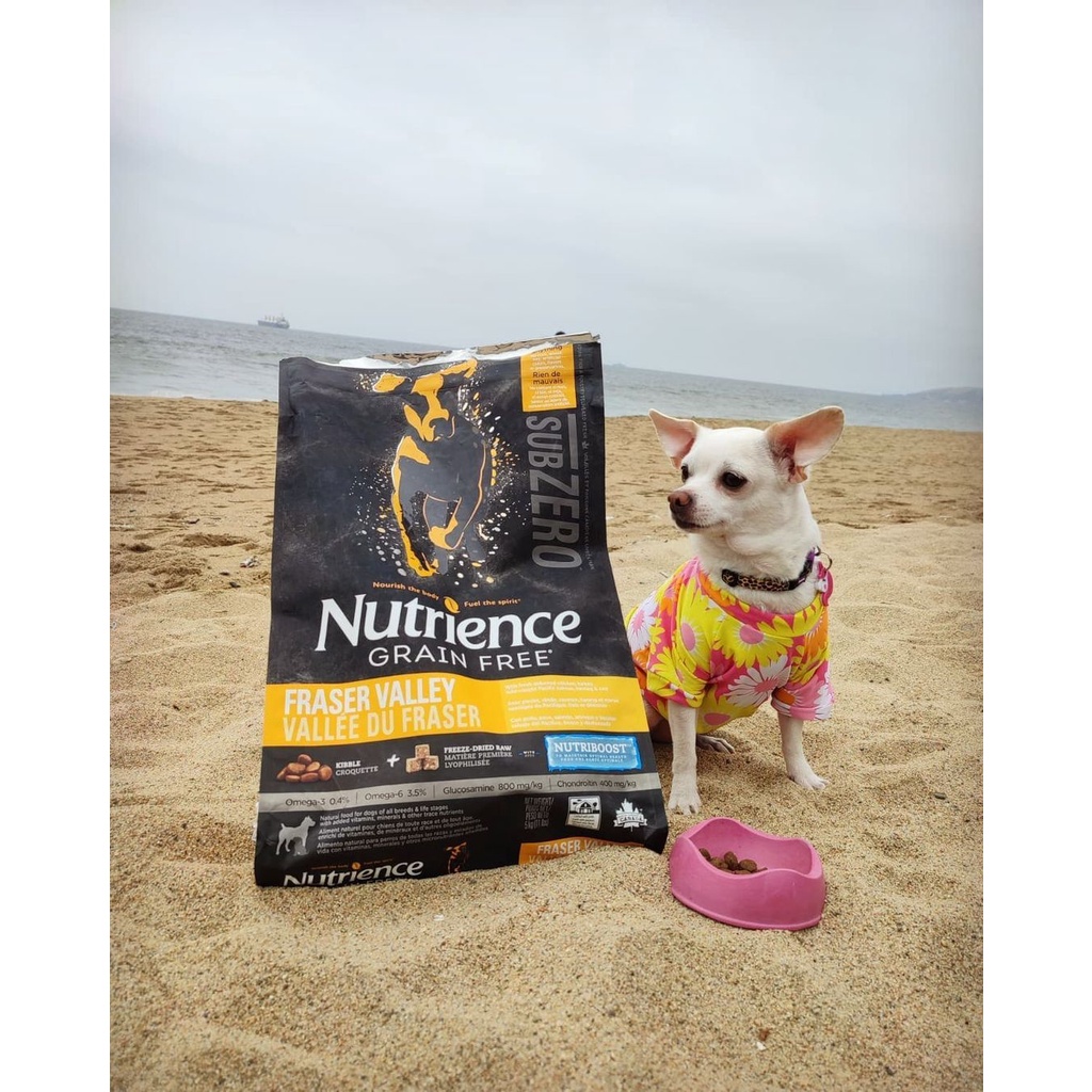 Thức Ăn Hạt Cho Chó Corgi - Da Lông Bóng Mượt Nutrience Subzero Bao 500g - 6 Loại Thịt (Bò Cá Hồi,...) Rau Củ, Trái Cây