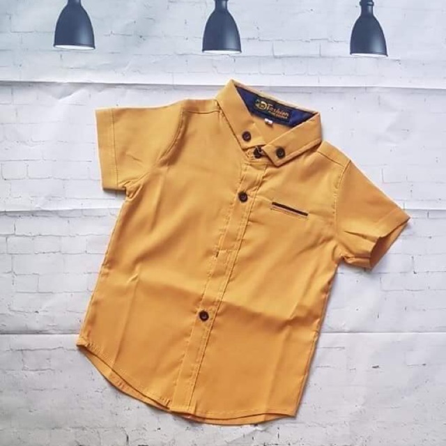 Combo khách sỉ. 250k