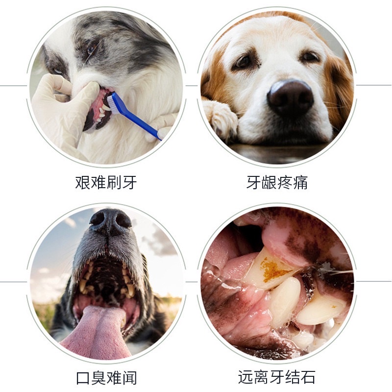 Xịt thơm miệng cho chó - Vệ sinh răng miệng chó mèo - Loại bỏ vi khuẩn, mảng bám, cao răng, mùi hôi răng miệng chó mèo