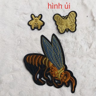 Hình may và hình ủi  trang trí.(2 hình)
