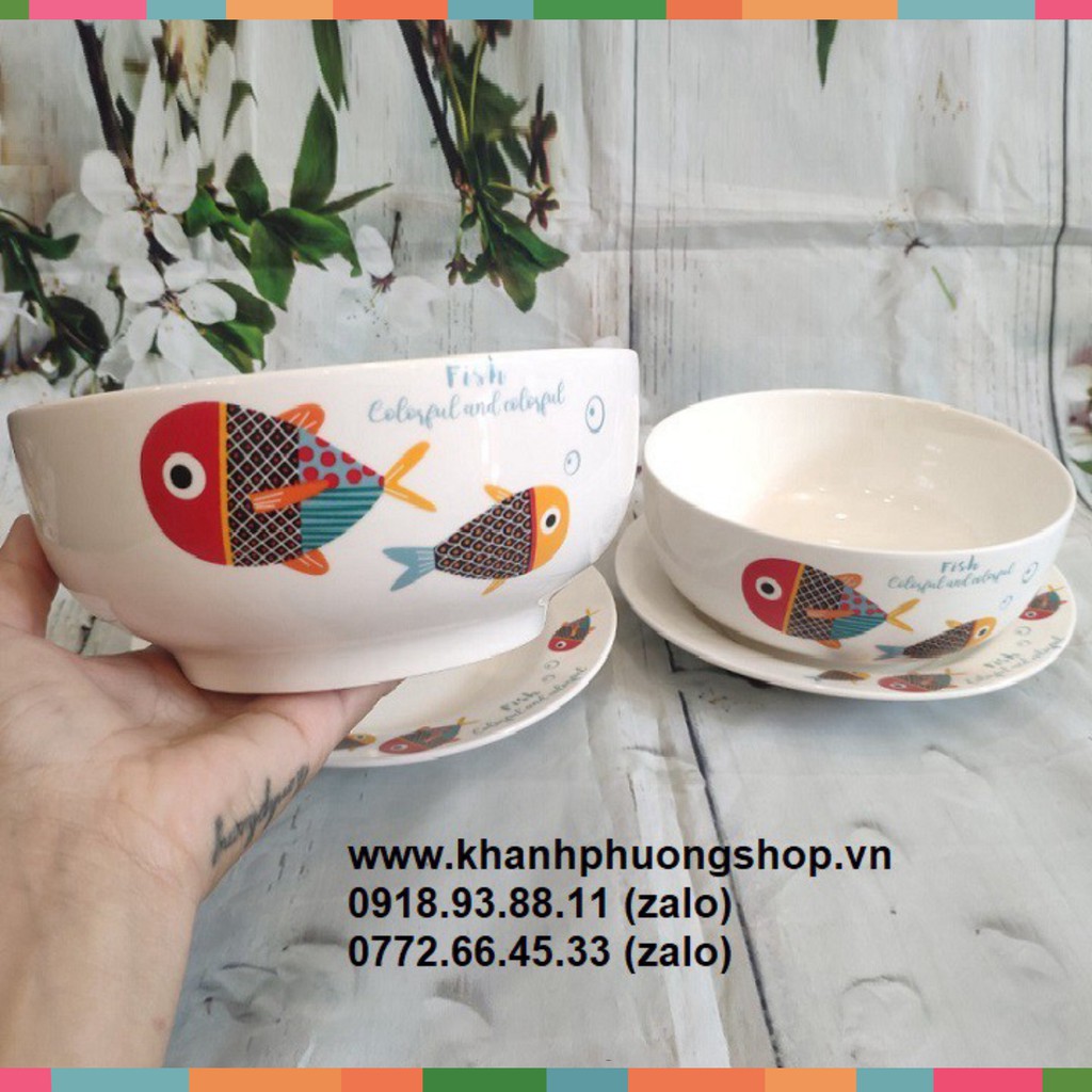 tô sứ trắng - tô sứ trắng