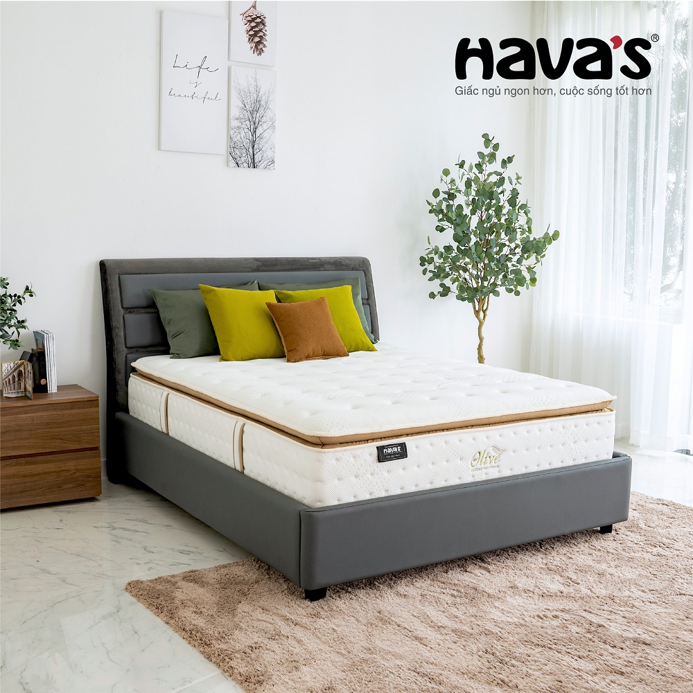 Nệm Havas Olive 1m6 và 1m8 lò xo túi 7 vùng nâng đỡ cơ thể, kháng khuẩn an toàn, bảo hành 10 năm