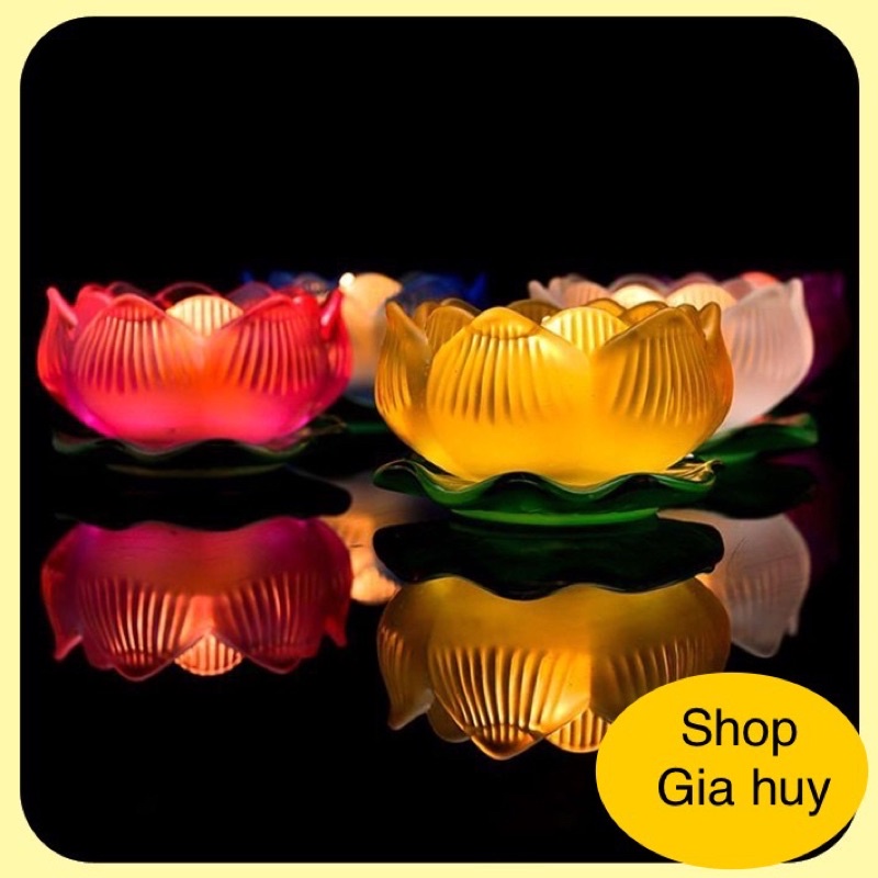 Đế Nến hoa sen lưu ly ✅nhiều màu ✅ chất lương tốt ➕ giá sẻ