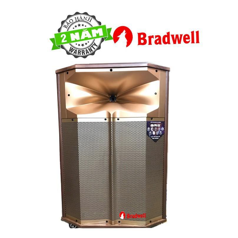 Loa kéo di động Bradwell T15A Japan BH 2 năm