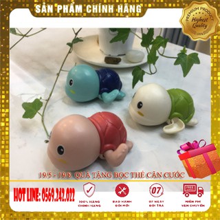 Đồ chơi rùa chạy cót thả bồn tắm