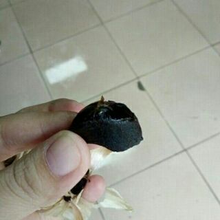 Nồi ủ tỏi đen