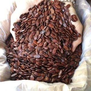 HẠT DƯA SẠCH MÀU TỰ NHIÊN