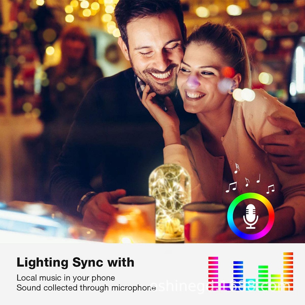 Dây Đèn LED Fairy RGB Nguồn USB 5V Kết Nối Bluetooth Dùng Trang Trí Nhà Cửa, Cây Thông Noel, Phòng Ngủ