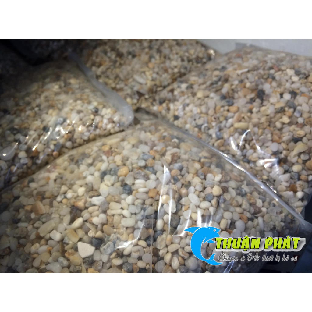 Sỏi, Đá Nhỏ Trang Trí Hồ Thủy Sinh