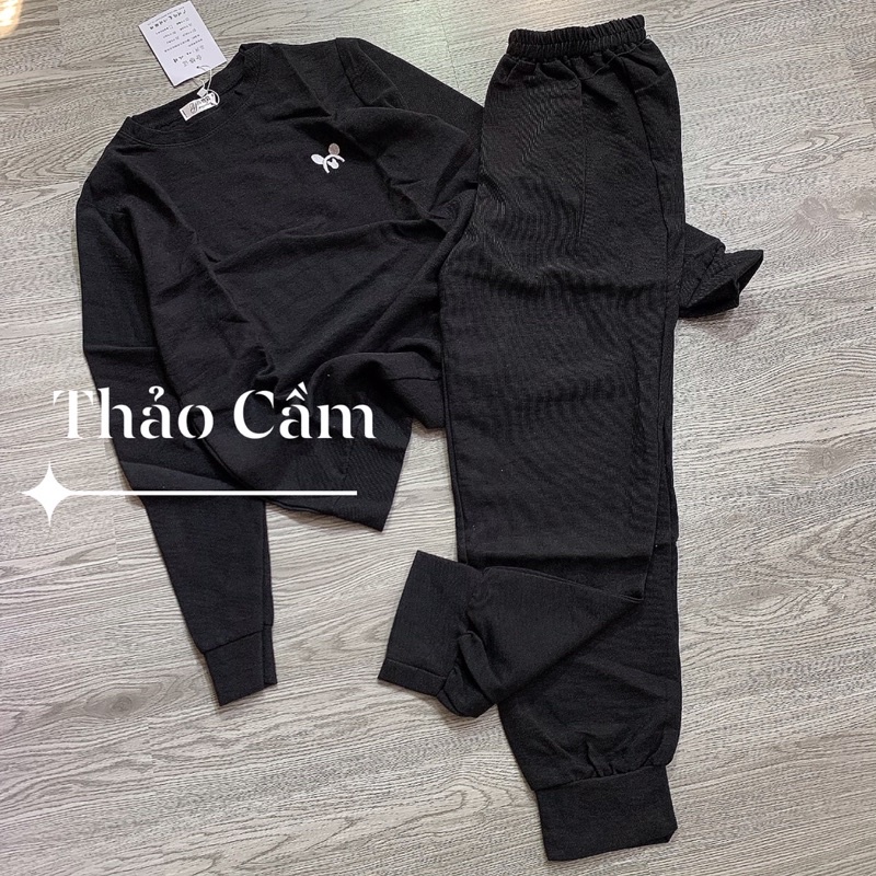 Bộ tăm mickey thêu