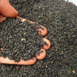 Bột ngũ cốc tăng/ giảm cân 1000gr