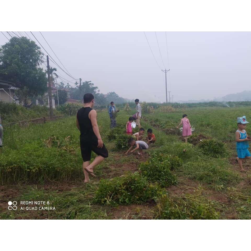 Lạc Đỏ Bóc Tay Phơi Nắng Tự Nhiên Không Chất Bảo Quản, Nhân Lạc Đỏ, Đậu Phộng Đỏ | BigBuy360 - bigbuy360.vn