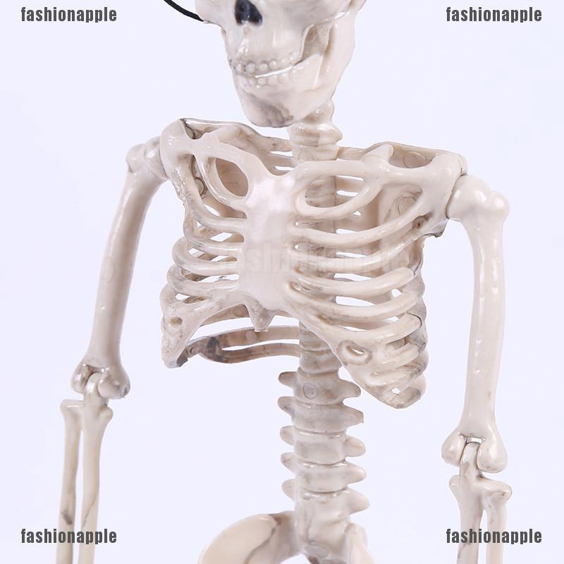 ❀❀ Bộ Xương Người Kinh Dị Trang Trí Halloween
