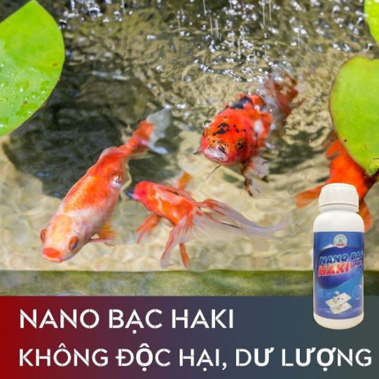 NANO BẠC HAKI (DIỆT KHUẨN NGUỒN NƯỚC NUÔI THỦY SẢN)