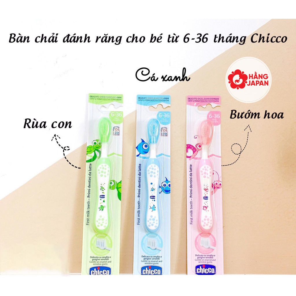 Bàn chải đánh răng chicco cho bé từ 6-36 tháng Hàng Ý