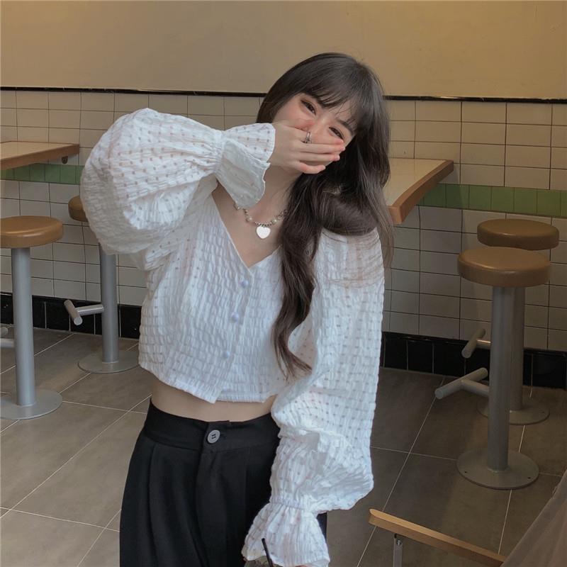 Áo kiểu tay dài cổ V thời trang xinh xắn cho nữ