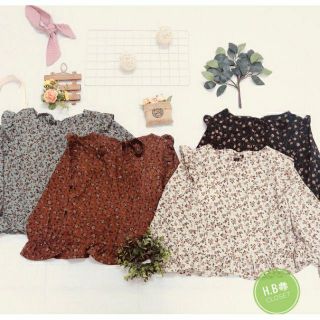 Áo babydoll hoa nhí vintage 14màu ảnh thật