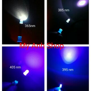 5 bóng led uv 365nm loại phi 5mm