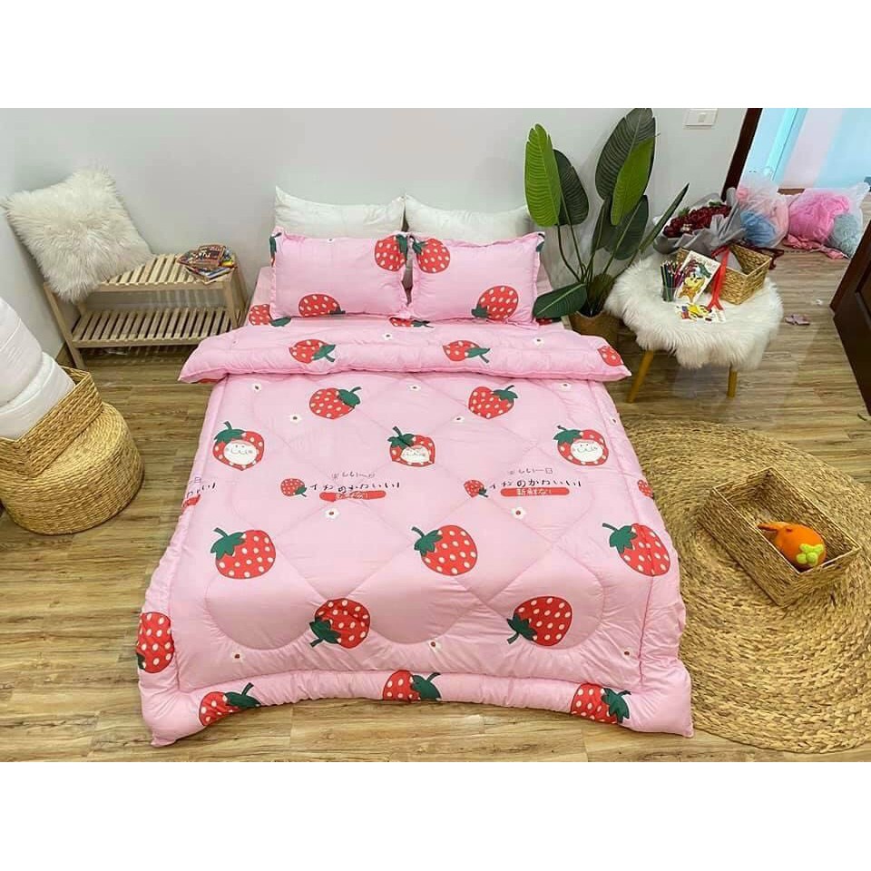 Trọn Bộ Chăn Ga Gối Chần Phao 5 Món - Cô Bé Dâu