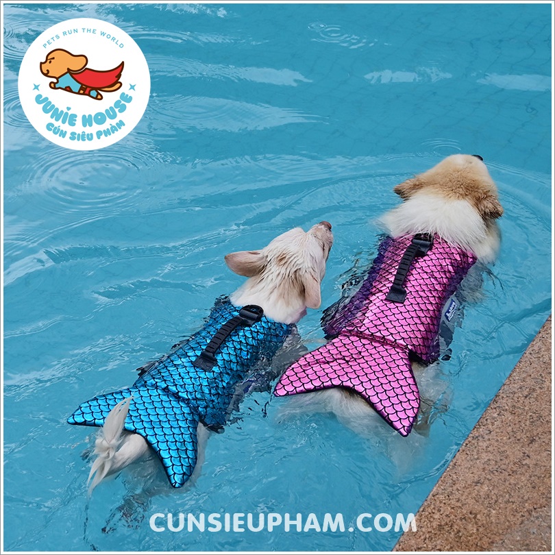 Áo phao đi bơi chuyên dụng cho chó mèo