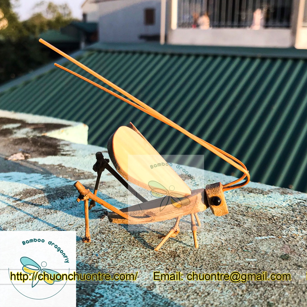 Con Châu Chấu mô hình bằng tre- trưng bày- handmade