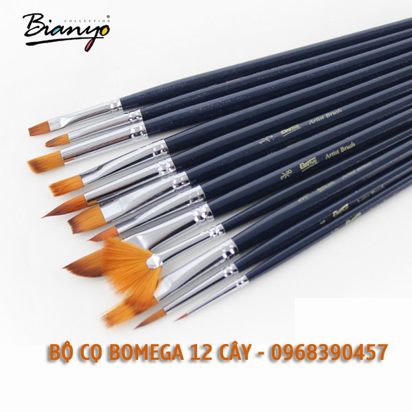 Bộ cọ vẽ Bomega 12 cây