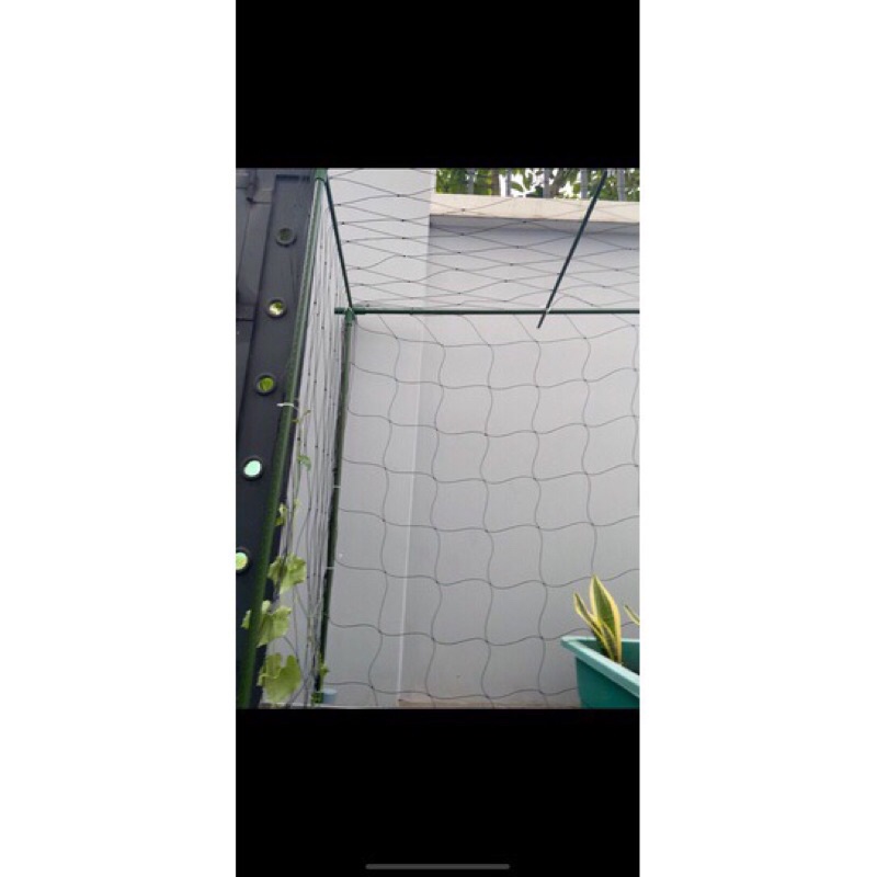Lưới trồng cây làm giàn leo, lưới bầu bí