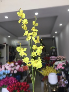 Hoa Lan Vũ Nữ