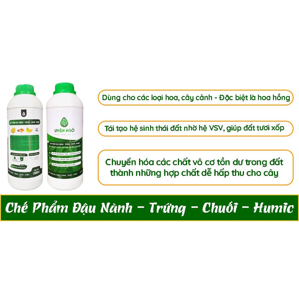 Phân Bón Đậu Tương, Đâu Nành Humic Chai 1L - Kích Chồi, Mập Mầm, Hoa Chuẩn Phom