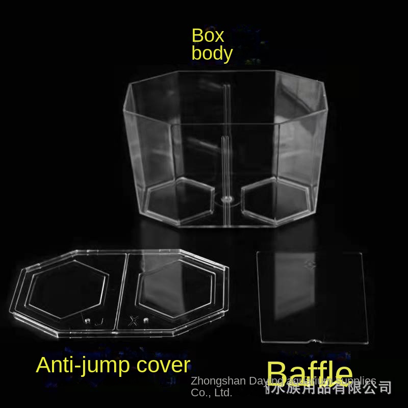 Bể Cá Hai Ngăn Hình Kim Cương Có Lỗ Bắt Sáng Cao Cấp