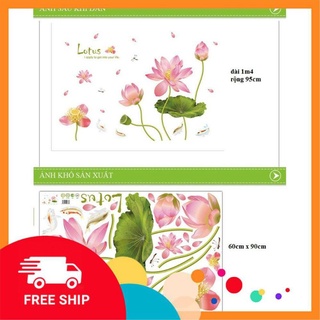 Decal dán tường hoa sen hồng