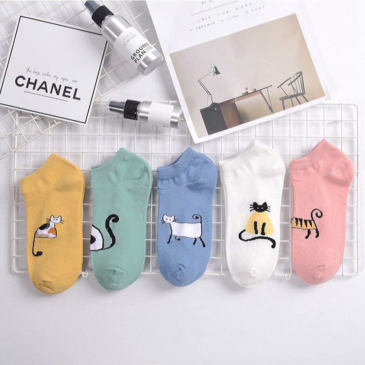 [siêu rẻ] Set 05 đôi tất TG05 chất liệu không xù, nhiều họa tiết ngộ nghĩnh