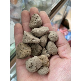 1kg đá bọt - đá giữ ẩm size 1-2