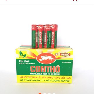 [SIÊU RẺ] Vỉ Bin tiểu Bin con thỏ Aa 4 quả