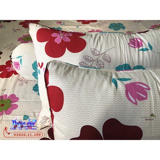 Bộ Drap Cotton Thắng Lợi hoa đỏ