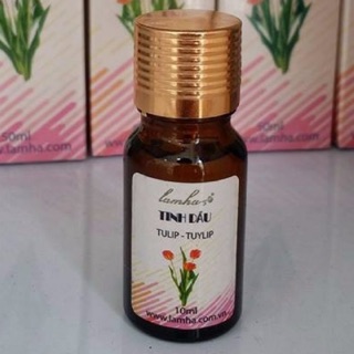 Tinh dầu thơm nhà - HH295