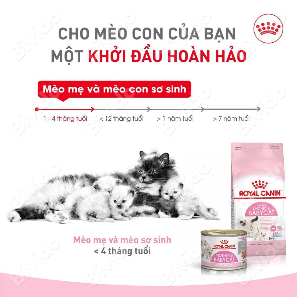 Thức ăn mèo Royal Canin Mother &amp; Babycat mèo mẹ mèo con cai sữa túi 1kg - Bivido