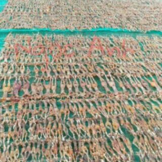 Khô ếch thiên nhiên