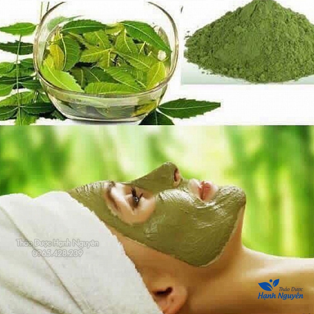 Bột lá neem nguyên chất 100g (Lá nem kháng khuẩn, dưỡng da, mờ thâm sạm) - Thảo Dược Hạnh Nguyên
