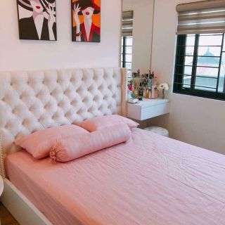 Drap cotton màu trơn Thắng Lợi.