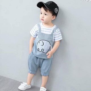 bộ con voi