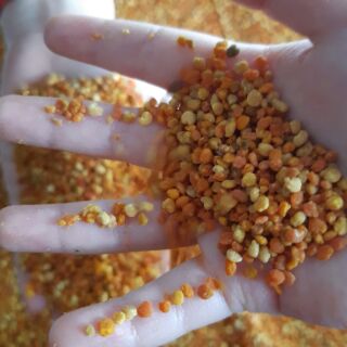 Phấn hoa cỏ kim ( 0.5 kg ) Phấn cỏ Sơn La